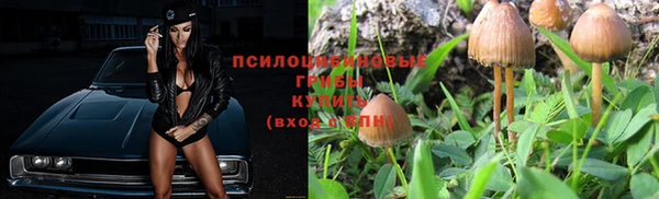 не бодяженный Белокуриха